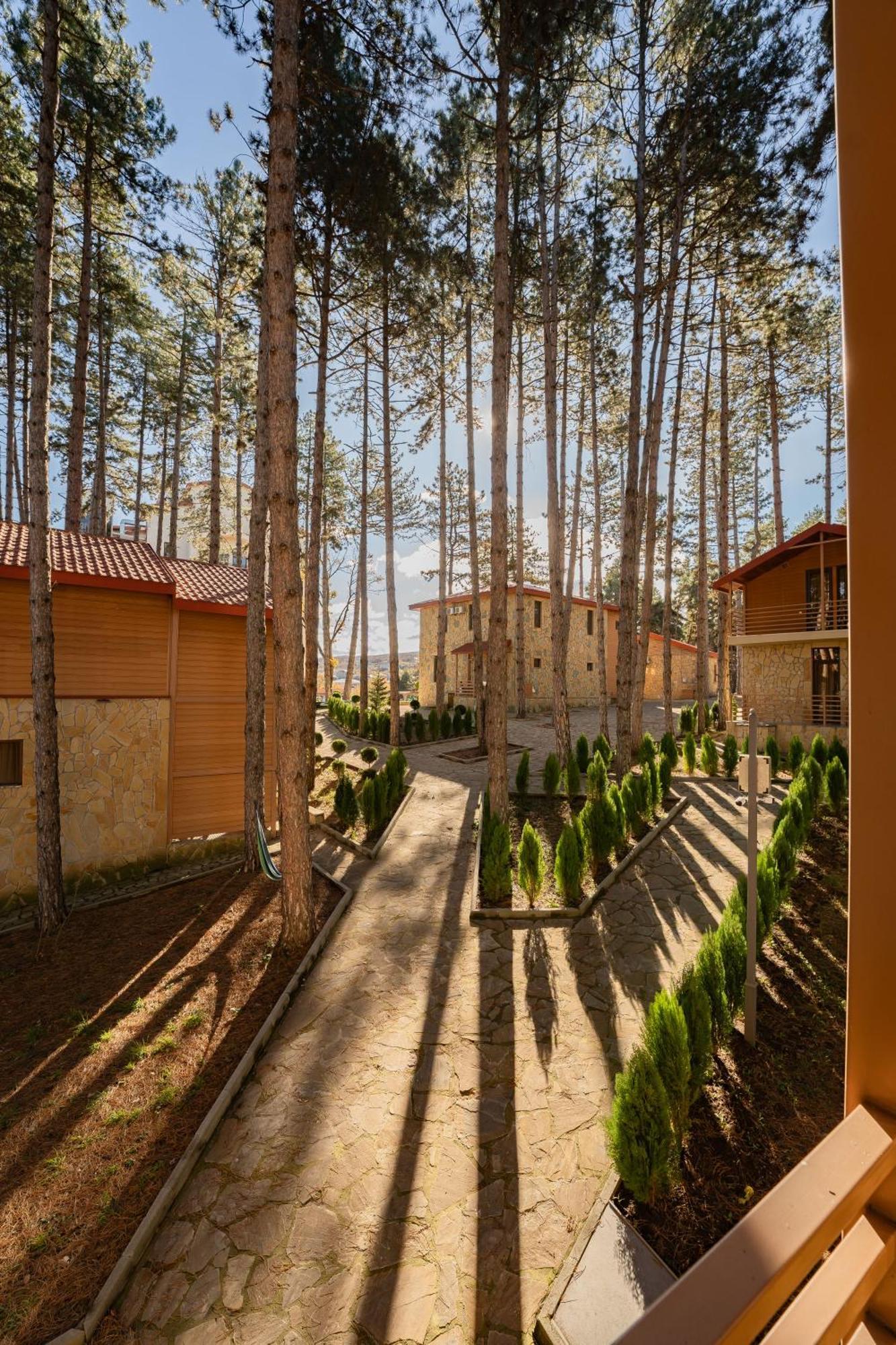Zuzumbo Resort & Spa Telavi Buitenkant foto
